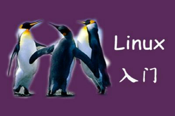 linux系统编程入门？linux初级教程
