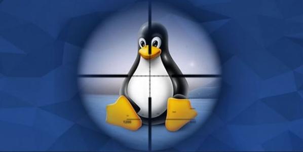 Linux应用领域