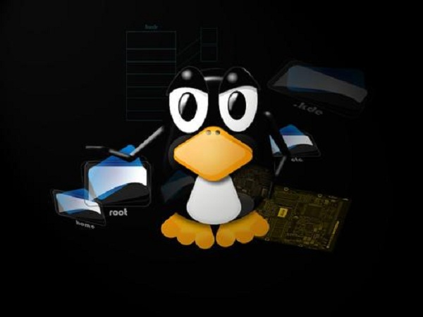 Linux培训班