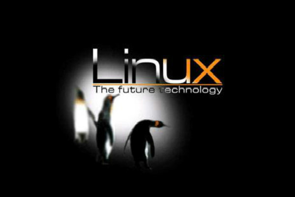 Linux运维就业前景如何？老男孩linux零基础教学