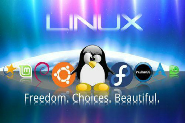 万能的Linux帮助命令有哪些？老男孩linux系统用的人多吗