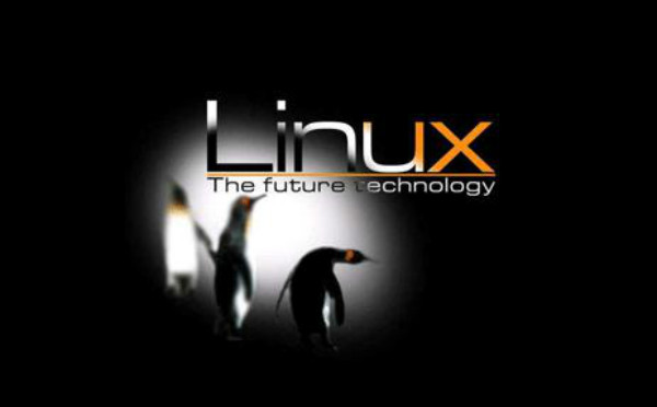 Linux培训班