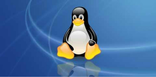 Linux培训班