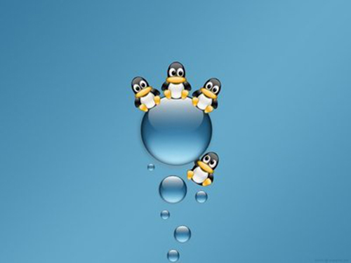 Linux培训班