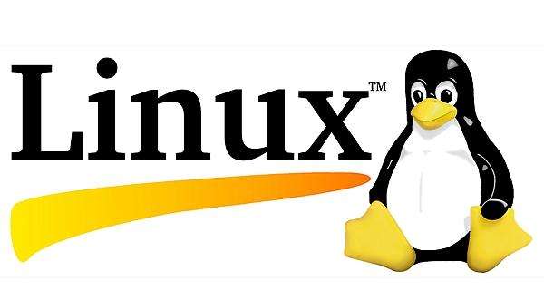 Linux培训班
