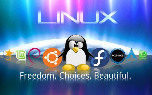 Linux培训班