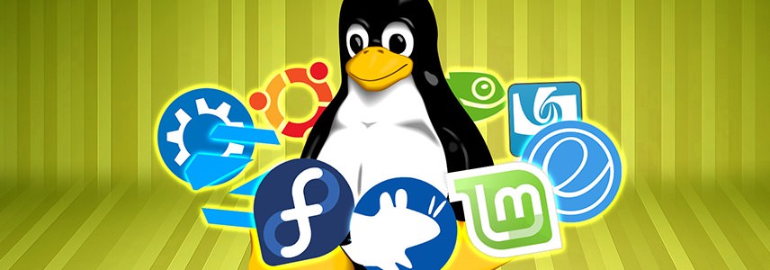 Linux培训班