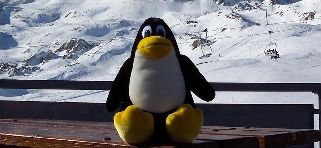 Linux培训班