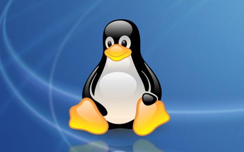Linux编辑器