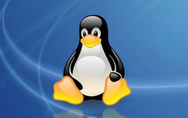Linux培训班