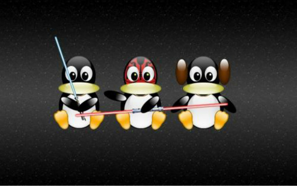 Linux培训班